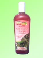 Shampoo Anticaida